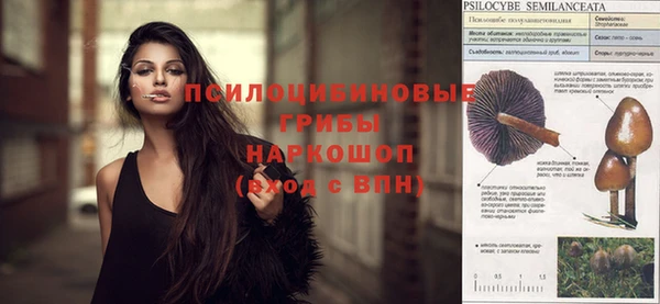 амф Пересвет