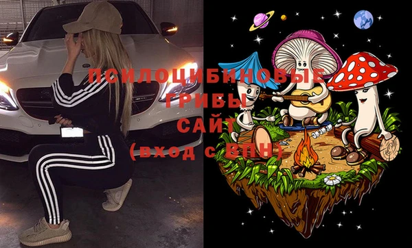 амф Пересвет