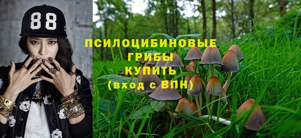 мет Осинники