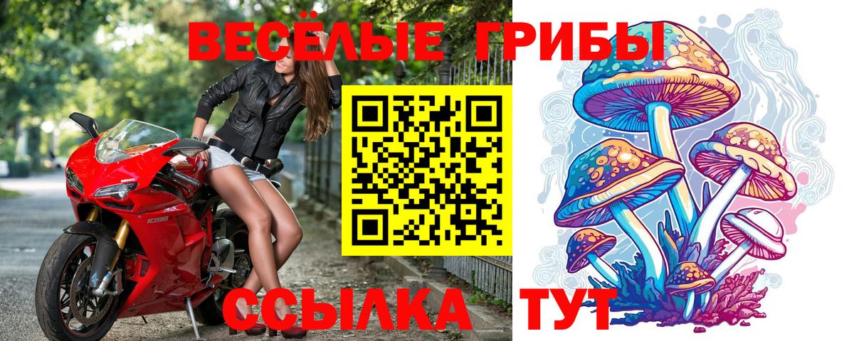 закладки  Галлюциногенные грибы MAGIC MUSHROOMS  Вход с VPN  Красноуфимск  Галлюциногенные грибы Cubensis 