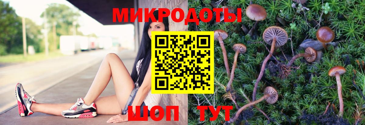 Псилоцибиновые грибы ЛСД Красноуфимск